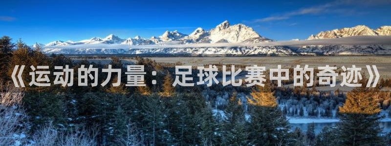 菲律宾ug环球官网：《运动的力量：足球比赛中的奇迹》