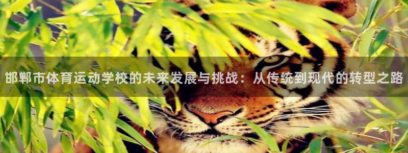 ug环球官网：邯郸市体育运动学校的未来发展与挑战：从传统到现代的转型之路